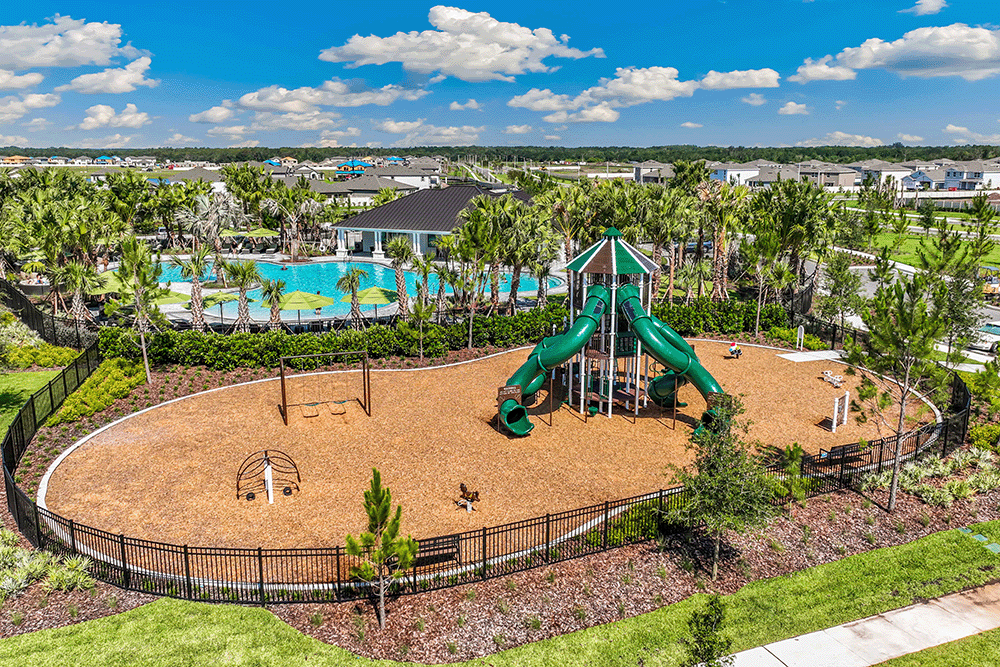park with slides surrounded by palm trees