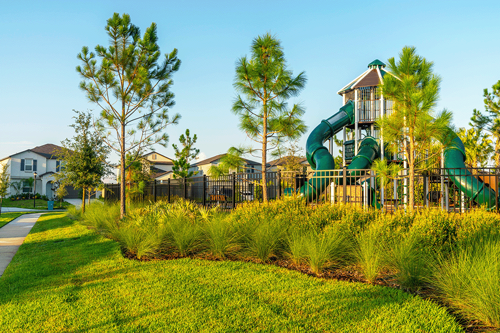 Playground with trees in the community